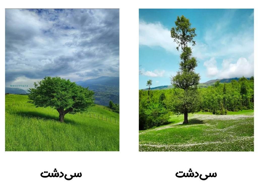تور درفک هتل کابن-سی دشت